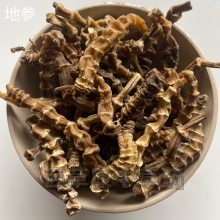 百草康供应中药材地参/虫草参干净无杂质包邮