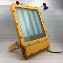 SZSW8121固定式LED投光灯货场码头泛光灯100W