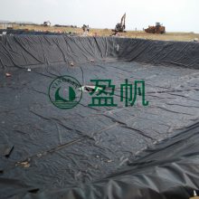 养殖防渗土工膜 鱼塘膜防渗土工膜 藕塘防渗土工膜 虾池防渗土工膜