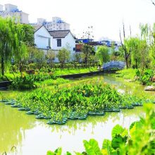 连云港市水面种植浮岛 绿化规划公司 水质净化人工浮床