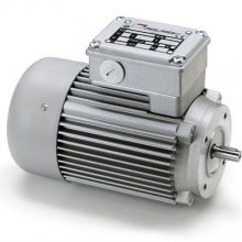 Mini MotorֵAC 110P2ڹת