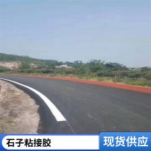 透水胶粘石地坪施工混凝土彩色路面砼路面胶粘剂