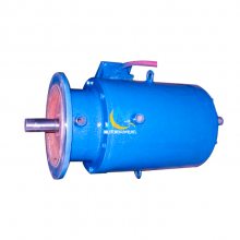 ԭػԴӦYGSL132S-6-3KWˮ ͸ˮ綯