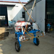 自走式打药机介绍 三轮自走式喷药车 高架小麦玉米打药机