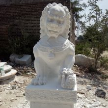 加工汉白玉石狮子 供应精品汉白玉石狮子 石雕狮子汉白玉石狮