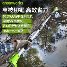 格力博（greenworks）40V高枝锯锂电修枝剪锯树神器园林电动伐木锯PSF401