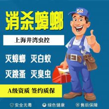 上海 闵行区灭蟑螂灭蚊蝇灭跳蚤除螨虫除臭虫灭爬虫灭潮虫消杀服务