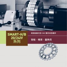 台湾福裕 CHEVALIER SMART-20+24IV_TC 高智能CNC数控成型磨床