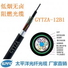 Ӧ̫ƽ GYTZA 12оģ ±ȼ ֱ ͨŹ