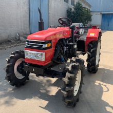 ͺ ԰԰ר 504