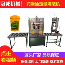 北京半自动双头润滑油灌装机 食用油灌装机