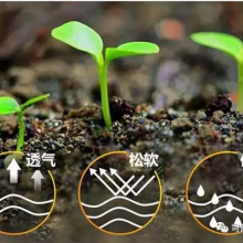使用菌肥时这7点一定得注意
