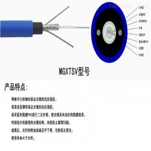 MGTS33-24B（24芯）矿用钢丝铠装光缆