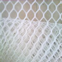 厂家批发塑料平网养殖网 育雏鸡鸭脚踩网宠物脚垫