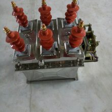 ZW8-12F/63010kv⿴Źܸѹն·䷽Ϳ