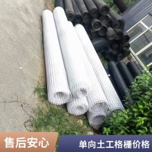 道路工程 单项塑料土工格栅 增强路基 DG80 世杰工程材料