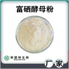 富硒酵母粉 斯诺特生物 质量稳定 食品级营养强化剂