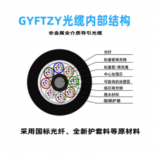 GYFTZY�ǽ������� ��ȼ���� ���ʽ�ṹ ��ģ��ģ о����ѡ