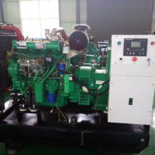 潍柴50KW全自动柴油发电机组 养虾专用双电源全铜发电机