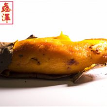 25Ǯ-25-ԴֻӦ(鿴)