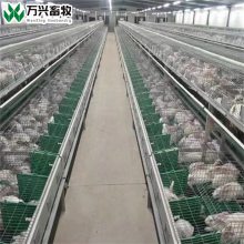 供应万兴畜牧自动饮水兔笼 三层立体商品兔笼 内置产箱繁殖兔子笼具