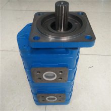 1163142037I 石煤随车吊双联泵