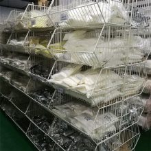 明投 8020 植物油皂粒 日化产品原料去污能力强 应用多样