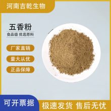 五香粉 食品级调味料 家用商用 细粉香辛料烧烤用