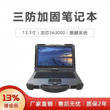 GITSTAR集特 13.3寸国产化加固笔记本GER-J14L国产龙芯3A5000
