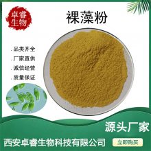 裸藻粉 裸藻提取物 Gymnosperm Powder 裸藻蛋白 多糖 绿虫藻粉现货