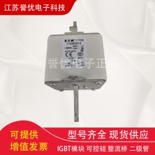 170M6812 170M6813 170M6814伊顿巴斯曼熔断器保险丝全新现货-江苏誉优电子