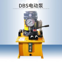 小型DBS电动液压泵 220V/380V柱塞泵 大流量双油口液压高压电动泵站