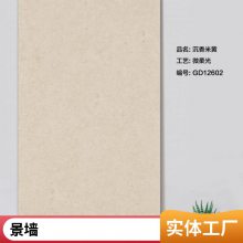 房地产工程石英砖18厚600x1200庭院地铺石 别墅外墙干挂 花园仿石砖