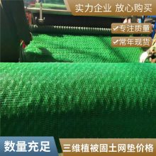 加筋麦克垫护坡网 三维植被网 绿化固土土工网垫 河道路基护坡