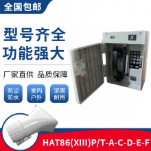 晨阳HAT86(XII)P/T-D扩呼型电话机 输煤调度电话机