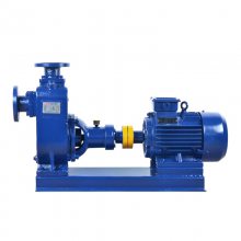 ZX32-3.2-50 ˮĥ