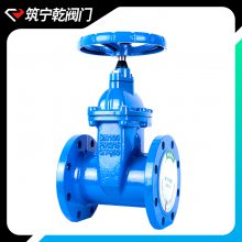 רҵֶբ ˵ʽբ dn250 ӱǬ