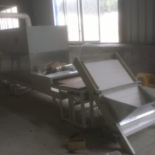 ZNWB120S-5G微波隧道式连续低温杀菌烘干设备