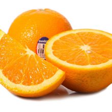 Ƽļ5㾫 Һ㾫 ͸