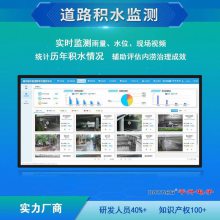 城市下穿隧道积水监测系统 道路积水监测站 水位降雨量实时监测设备