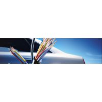ʱһ꣡¹LEONI ᣡSV-70G  ȫ ۸