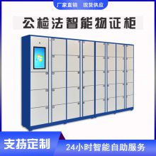 智能卷宗柜 人脸识别案卷存放柜 联网管理 尺寸定制
