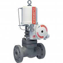 FLOWSERVE