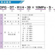 ASK ѹ ѹ ѹ OPG-DT-R1/4-39 --
