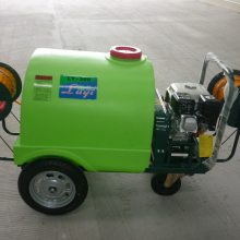 ձGX1603WZ-300Tʽ300ѹҩ