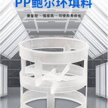 聚丙烯鲍尔环填料φ16 25 38 50 76mm聚丙烯鲍尔环