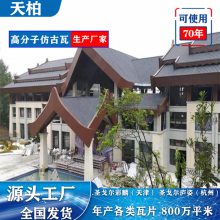 ����� �߷��ӷ¹��� ���������� �ִ�����������Ӧ