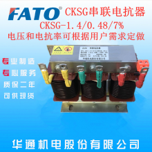 人ֱFATOͨCKSG-1.05/0.48/7%ѹ翹