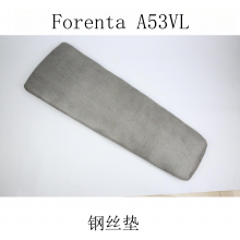 FORENTAA53VLʪл¼е污л׼  µ