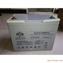 供应双登12V40AH蓄电池 6-GFM-40 铅酸免维护 UPS专用蓄电池